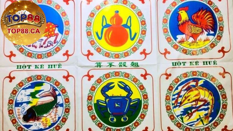 Một Số Câu Hỏi Thường Gặp Khi Tìm Hiểu Về Cách Chơi Bầu Cua