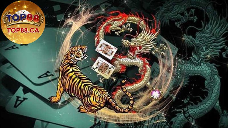 Hướng dẫn chi tiết cách chơi Rồng Hổ cho người mới bắt đầu