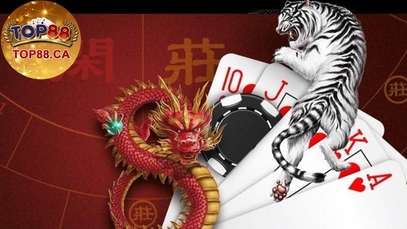 Rồng Hổ là gì? Tìm hiểu về cách chơi Rồng Hổ