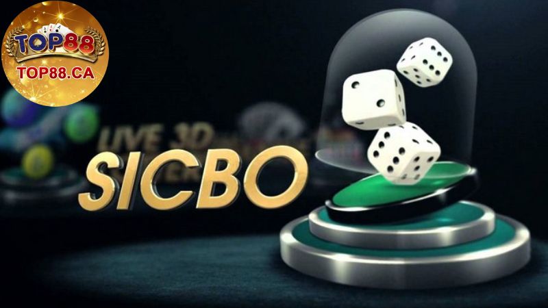 Những Mẹo Chơi Sicbo Hiệu Quả Giúp Tăng Tỷ Lệ Thắng