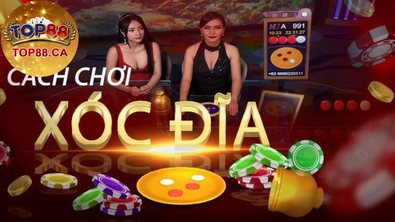 Hướng Dẫn Chi Tiết Cách Chơi Xóc Đĩa Cho Người Mới